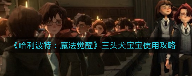 《哈利波特：魔法觉醒》三头犬宝宝使用攻略