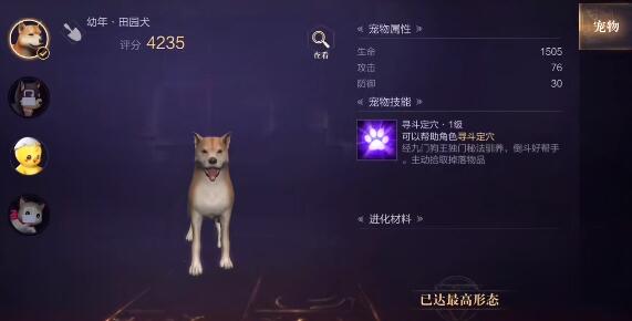 新盗墓笔记龙脉寻宝藏品怎么获得
