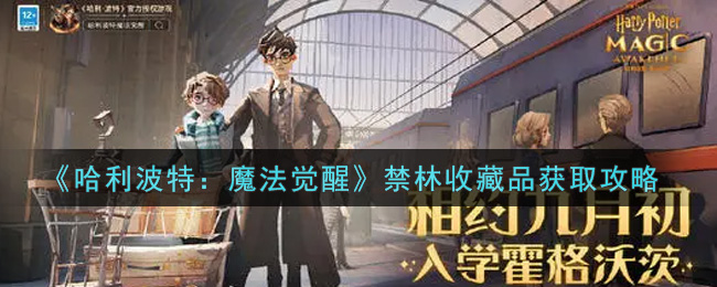 《哈利波特：魔法觉醒》禁林收藏品获取攻略