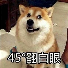 土狗基因是什么梗