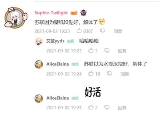 苏联因为壁纸没贴好解体了是什么梗