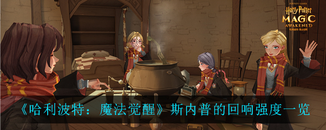 《哈利波特：魔法觉醒》斯内普的回响强度一览
