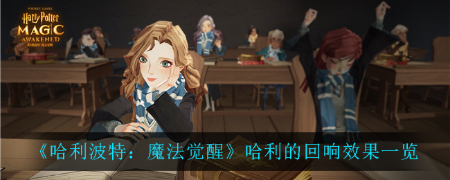 《哈利波特：魔法觉醒》哈利的回响效果一览