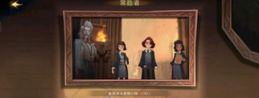 哈利波特魔法觉醒魔杖组成怎么查看