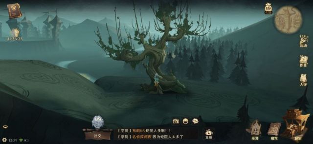《哈利波特魔法觉醒》禁地打人柳打法攻略