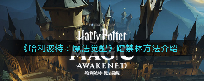 《哈利波特：魔法觉醒》蹭禁林方法介绍
