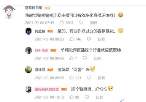 这就是网警吗是什么梗