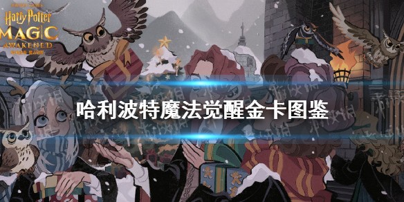 《哈利波特魔法觉醒》金卡图鉴大全