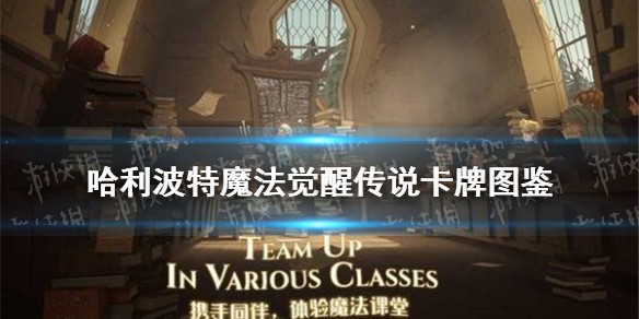 《哈利波特魔法觉醒》传说卡牌图鉴大全
