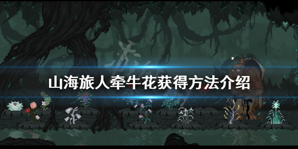 《山海旅人》牵牛花怎么获得？牵牛花获得方法介绍