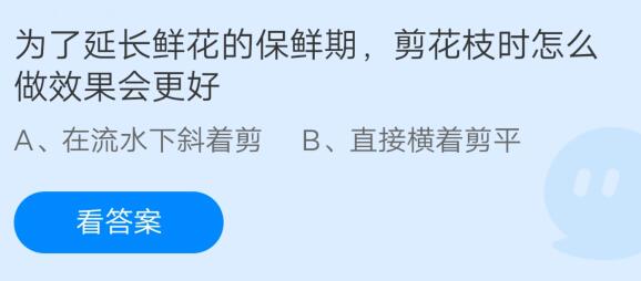 为了延长鲜花的保鲜期剪花枝时怎么做效果会更好