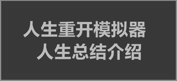 人生重开模拟器人生总结介绍