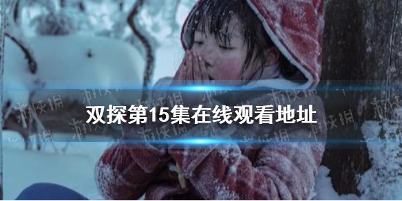 双探第15集在线观看地址分享
