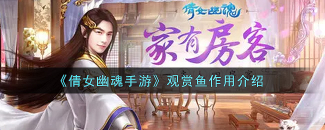 《倩女幽魂手游》观赏鱼作用介绍