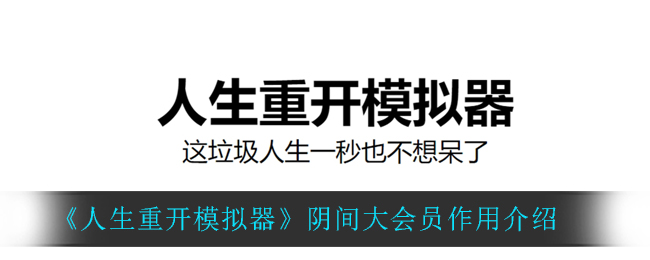 《人生重开模拟器》阴间大会员作用介绍