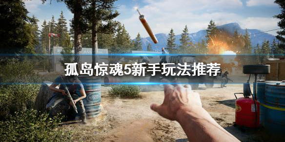 《孤岛惊魂5》新手该怎么玩？新手玩法推荐