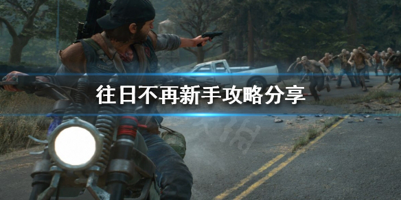 《往日不再》新手该怎么玩？新手攻略分享