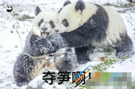 QQ截图20210916115425.jpg