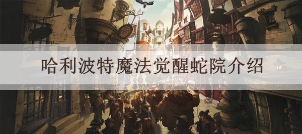 哈利波特魔法觉醒蛇院介绍