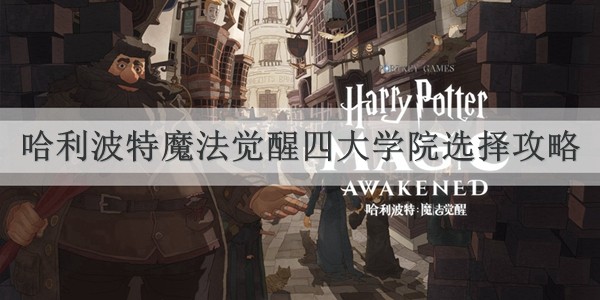 哈利波特魔法觉醒四大学院选择攻略