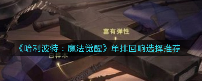 《​哈利波特：魔法觉醒》单排回响选择推荐