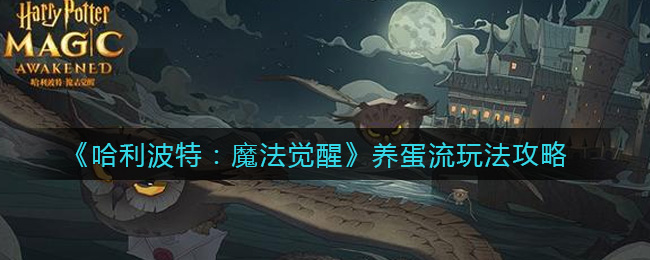 《哈利波特：魔法觉醒》养蛋流玩法攻略
