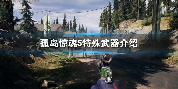《孤岛惊魂5》有哪些特殊武器？特殊武器介绍
