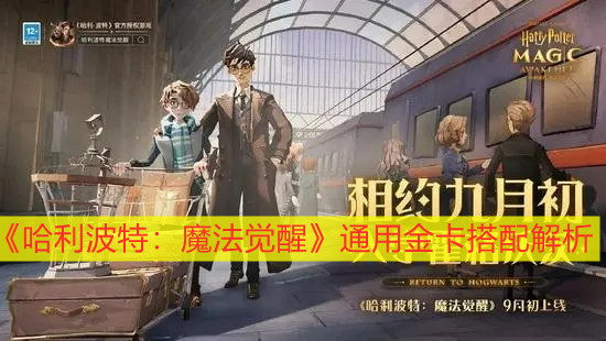 《哈利波特：魔法觉醒》通用金卡搭配解析