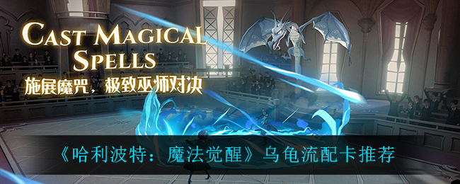 《哈利波特：魔法觉醒》乌龟流配卡推荐