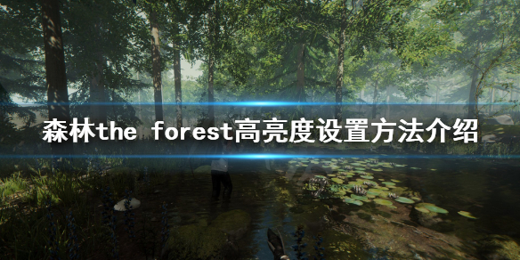 《森林》游戏亮度怎么提高？the forest高亮度设置方法介绍