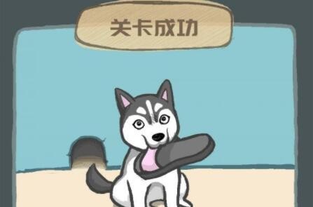 养只二哈不容易第9关攻略
