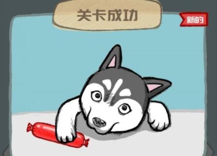 养只二哈不容易第10关攻略