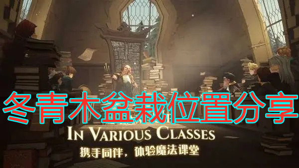 《哈利波特：魔法觉醒》冬青木盆栽位置分享