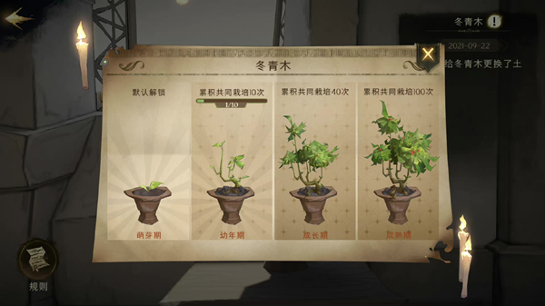 《哈利波特：魔法觉醒》冬青木盆栽位置分享
