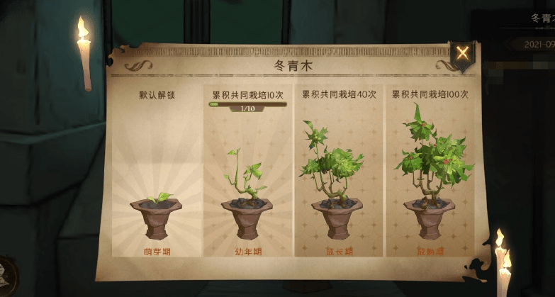 《哈利波特魔法觉醒》冬青木成长周玩法攻略