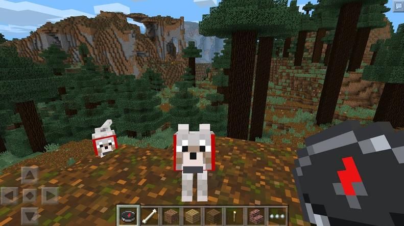 我的世界Minecraft