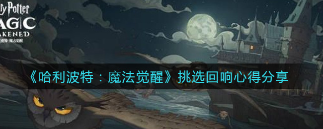 《哈利波特：魔法觉醒》挑选回响心得分享