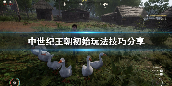 《中世纪王朝》初始玩法技巧分享 新手村有什么技巧？