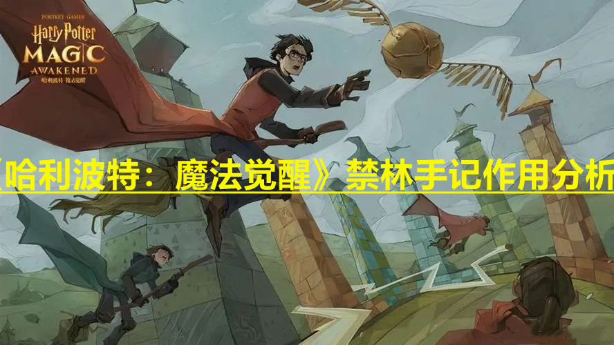《哈利波特：魔法觉醒》禁林手记作用分析