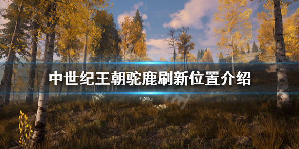 《中世纪王朝》驼鹿在哪刷？驼鹿刷新位置介绍