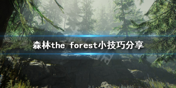 《森林》游戏有什么技巧？The Forest游戏小技巧分享