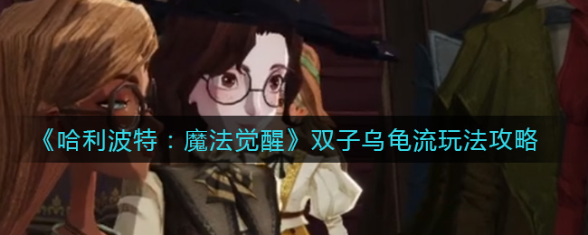 《哈利波特：魔法觉醒》双子乌龟流玩法攻略