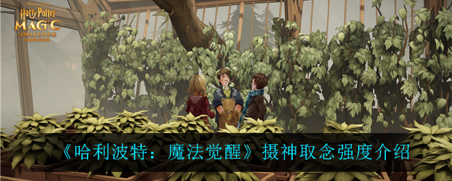 《哈利波特：魔法觉醒》摄神取念强度介绍