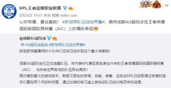 《王者荣耀》AIC世界赛AG有哪些人参与