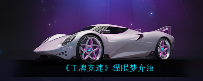 《王牌竞速》猫眠梦介绍