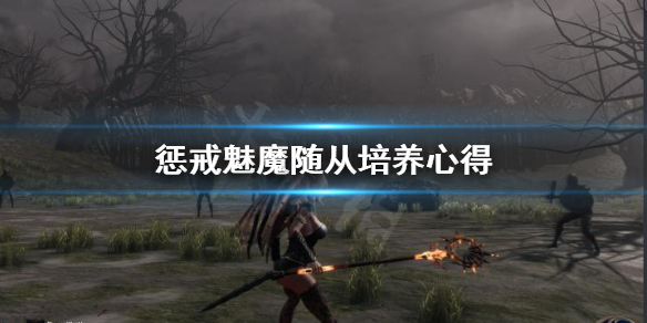 《惩戒魅魔》随从怎么培养？随从培养心得