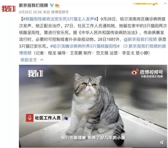 哈尔滨一确诊病例的3只宠物猫核酸阳性，已被执行安乐死