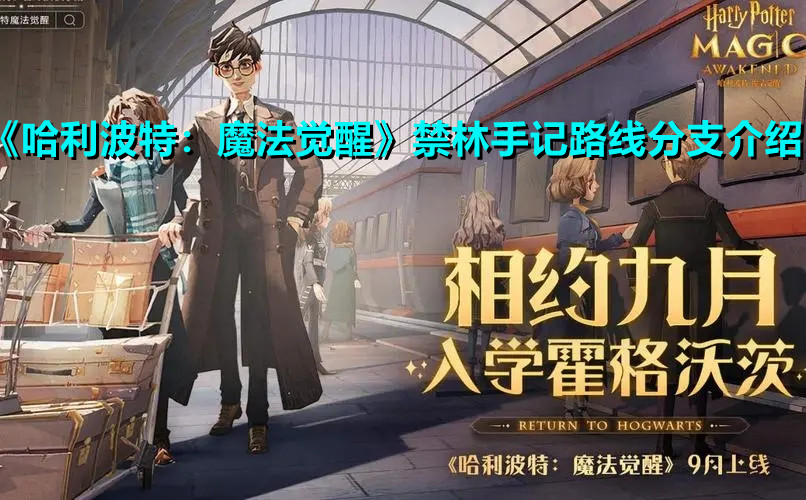 《哈利波特：魔法觉醒》禁林手记路线分支介绍