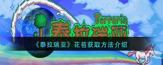 《泰拉瑞亚》花苞获取方法介绍