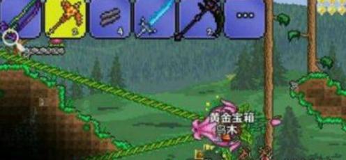 《泰拉瑞亚》花苞获取方法介绍